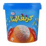 نستله كارنفاليتا ايس كريم فانليليا بالمانجا حجم عائلي 