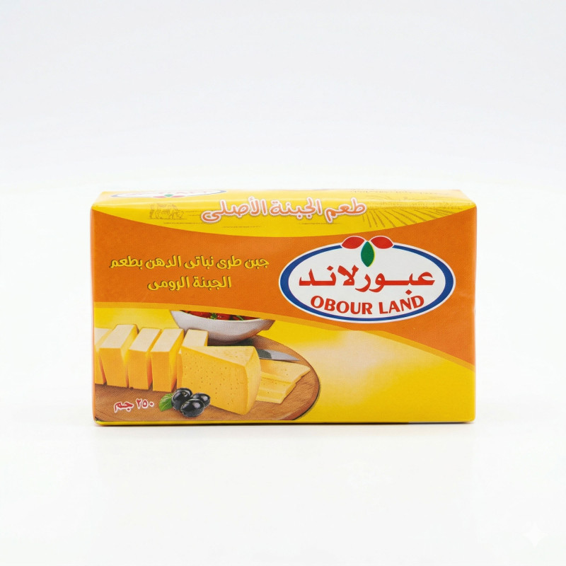 عبور لاند جبنة بطعم الرومي 250 جم