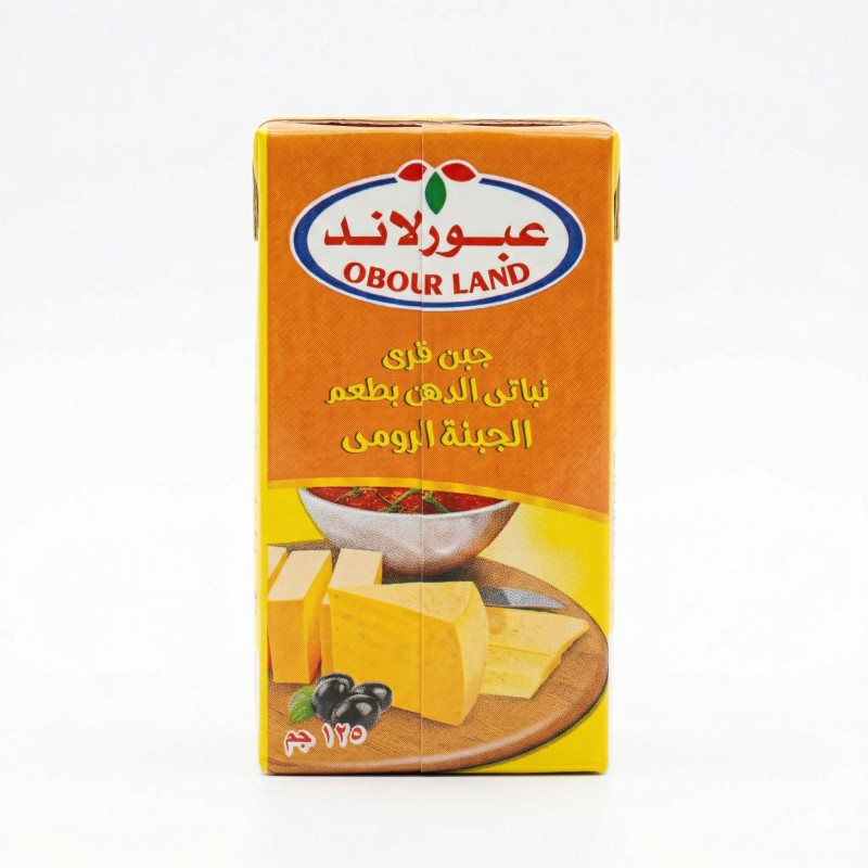 عبور لاند جبنة بطعم الرومي 125 جم