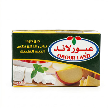 عبور لاند جبنة بطعم الفلمنك 250 جم