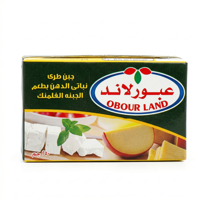 عبور لاند جبنة بطعم الفلمنك 250 جم