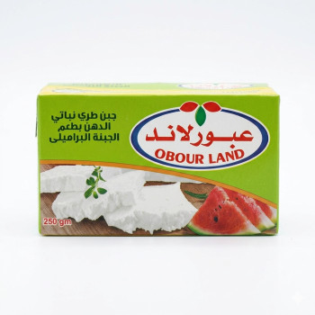 عبور لاند جبنة بطعم البراميلي 250جم