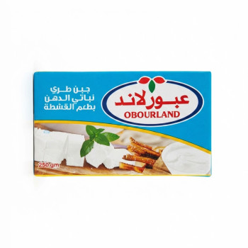 عبور لاند جبنة بالقشطة 250 جم