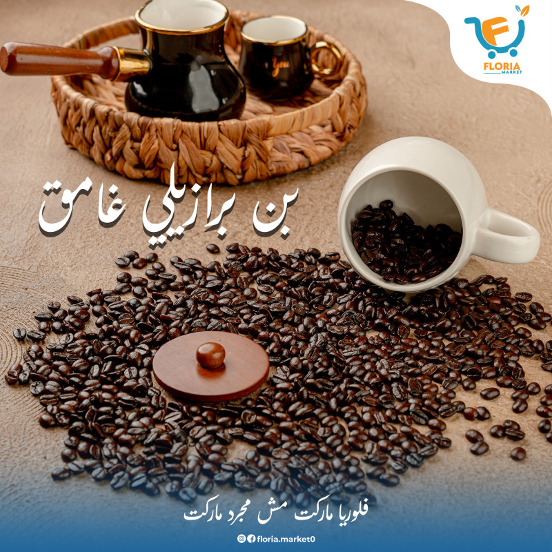بن برازيلي فاتح سادة