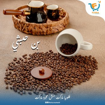 بن حبشي وسط سادة