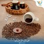 بن حبشي وسط سادة