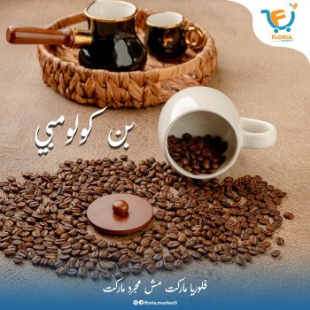 بن كولومبي وسط سادة