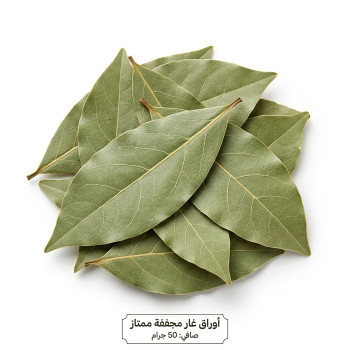 ورق غار