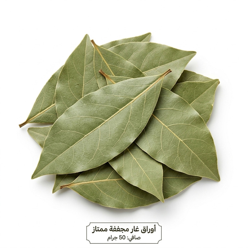 ورق غار